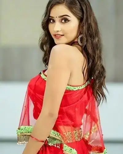 Call Girls Service Hanumana
